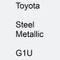 Preview: Toyota, Steel Metallic, G1U.